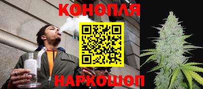 эйфоретик Гай