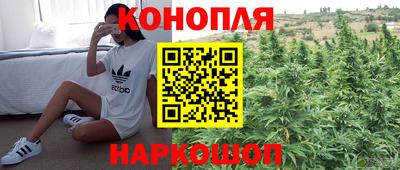 эйфоретик Гай