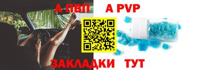 эйфоретик Гай