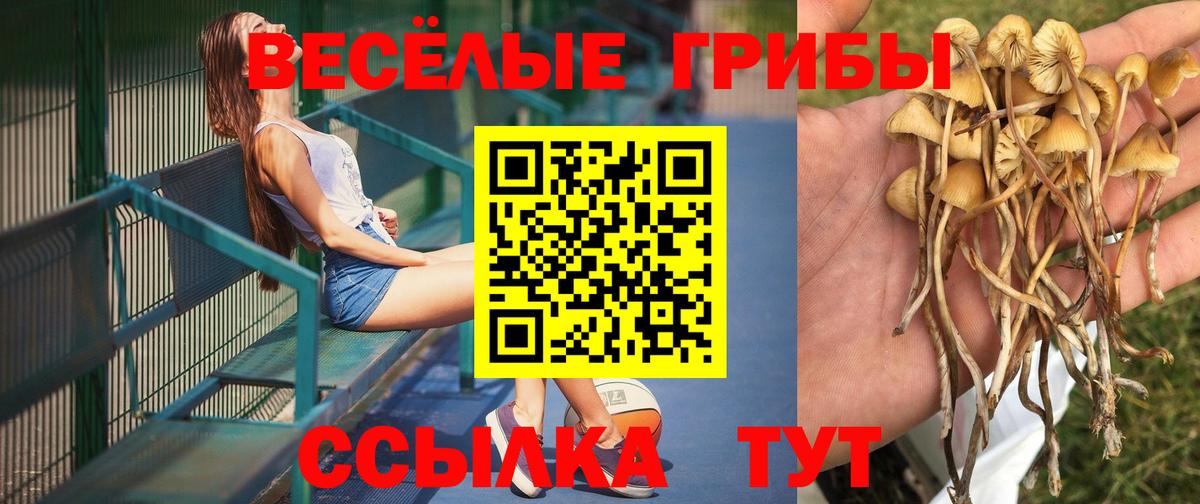 Галлюциногенные грибы мицелий  Псилоцибиновые грибы Cubensis  Вход с VPN  Серпухов 